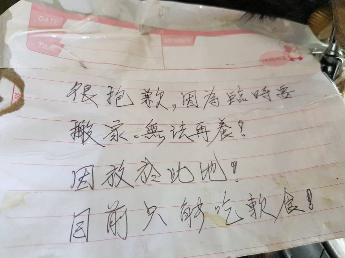 飼主留下的字條。高雄市關懷流浪動物協會/提供