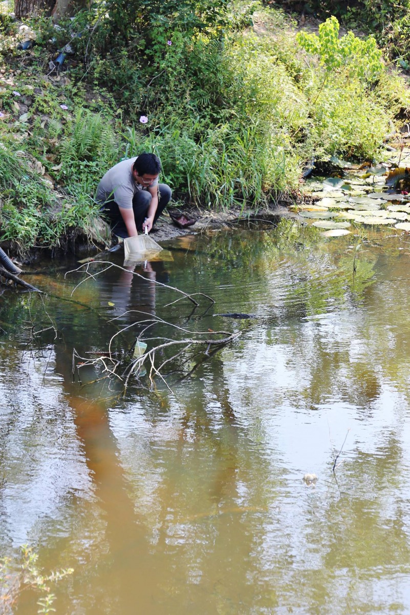 撈獲的原生物種往上游安全水域釋放。金門縣政府建設處農林科/提供