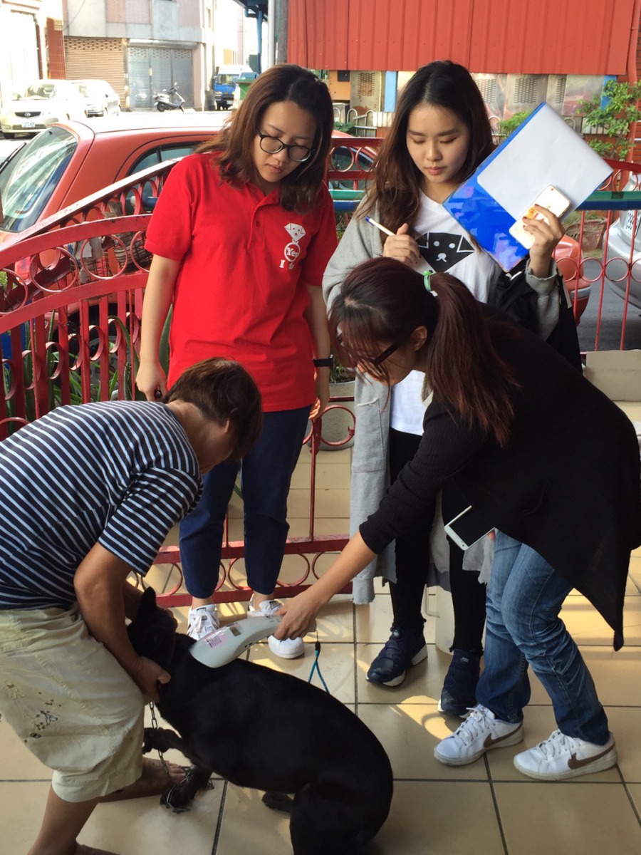 協會人員與動保員掃描家犬晶片並檢查是否絕育。朱曼寧/攝影