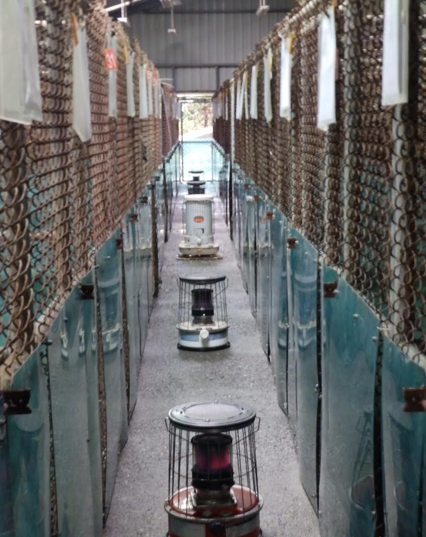 台灣動物緊急救援小組發起募捐，集資購買50桶煤油，讓毛小孩度過溫暖寒冬。基隆動保所/提供