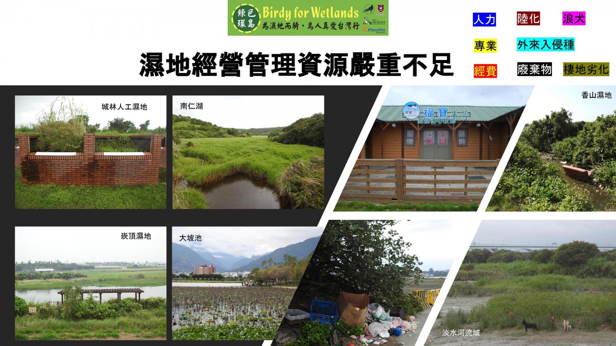 各地濕地管理嚴重缺乏經費、人力以及專業，自然無法因應前述的生態危機，還時常做無用的建置。中華民國野鳥學會/提供