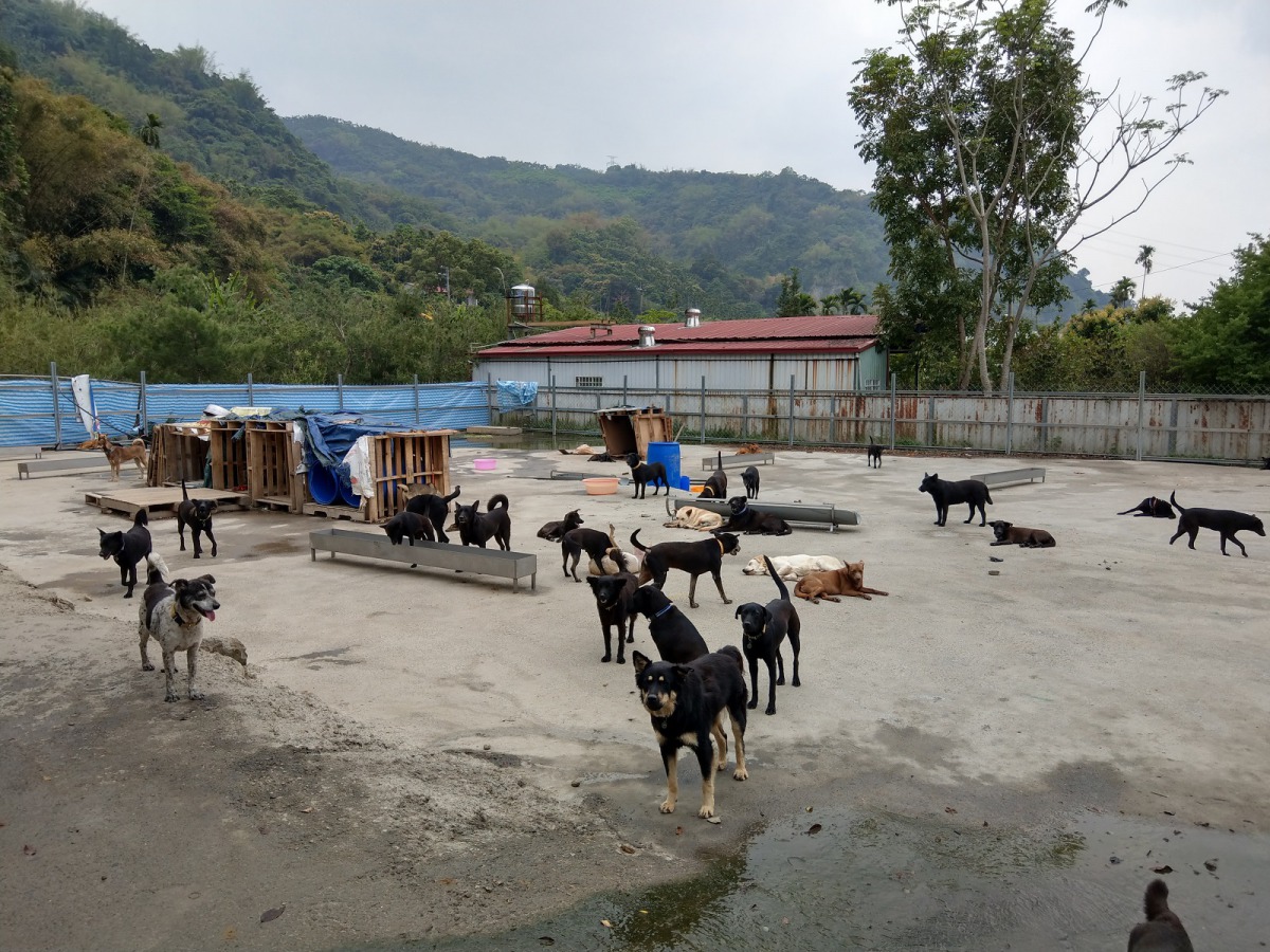 南投防治所成立專案輔導計畫統籌相關資源運用。陳璽安/攝