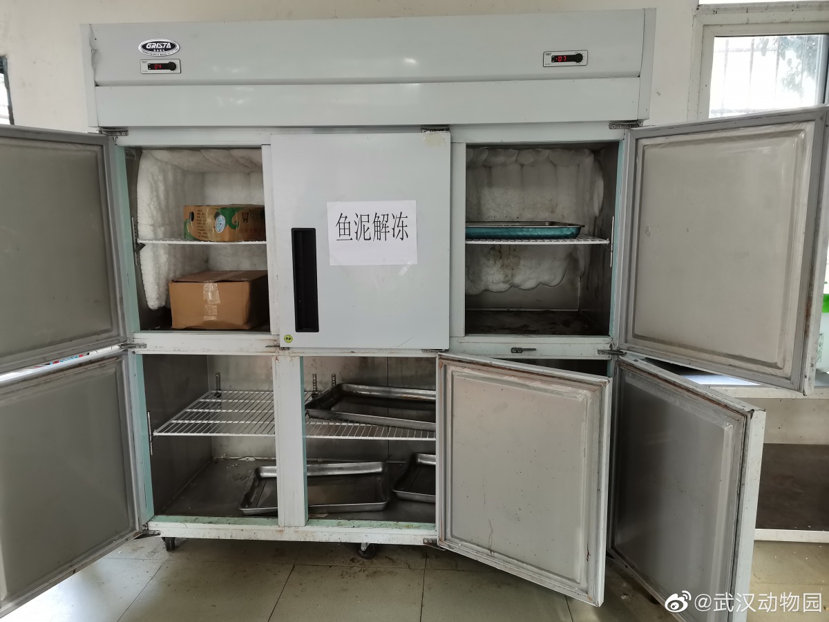 由於水產品斷供，武漢動物園的企鵝、鵜鶘、鶴類等動物險些斷糧，所幸迅速獲得各界支援。翻攝自武漢動物園微博