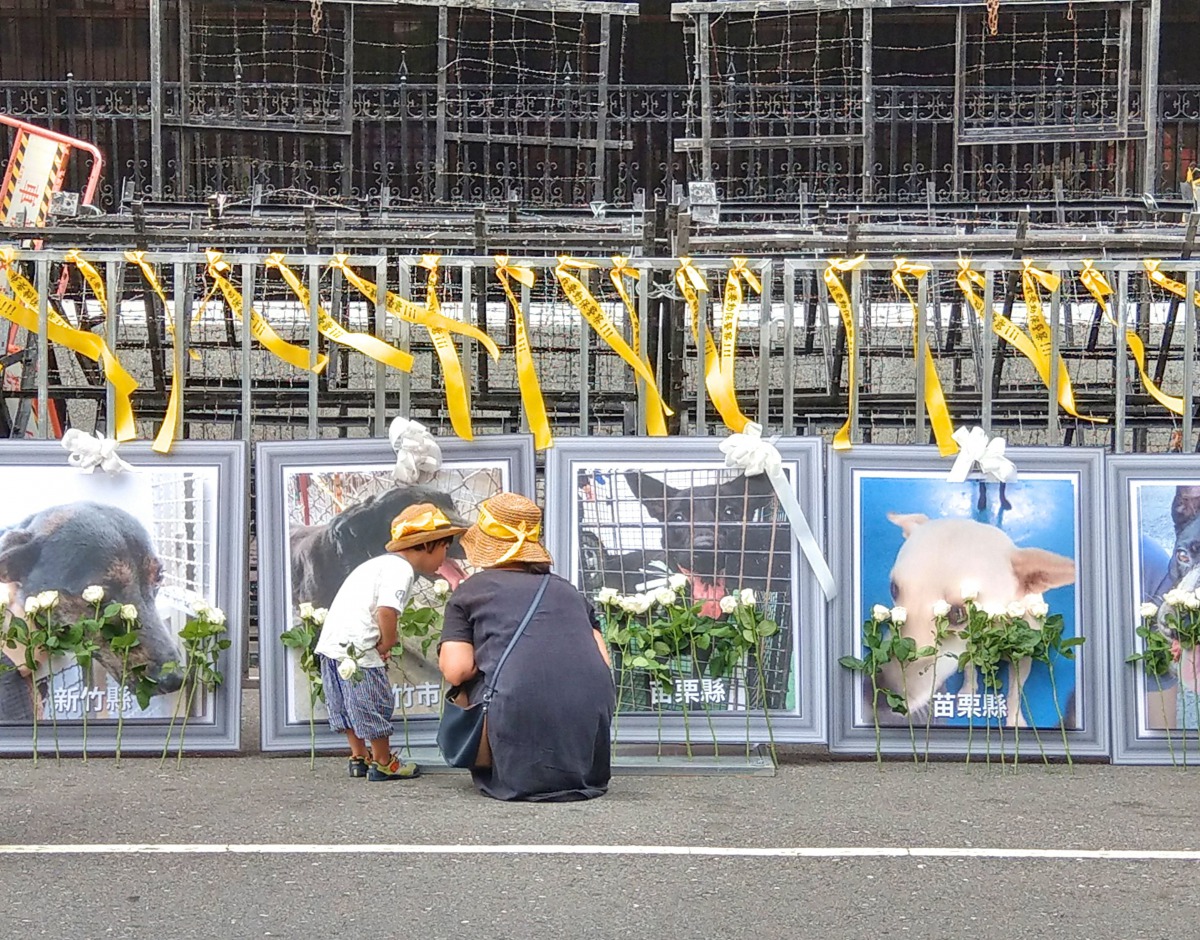 志工們舉辦「讓愛返回祈福會」，祝福已經不在人世的狗，也祈求還活著的狗能夠平安歸來，同時也要求公立收容所建立認養評估與追蹤機制。陳璽安/攝