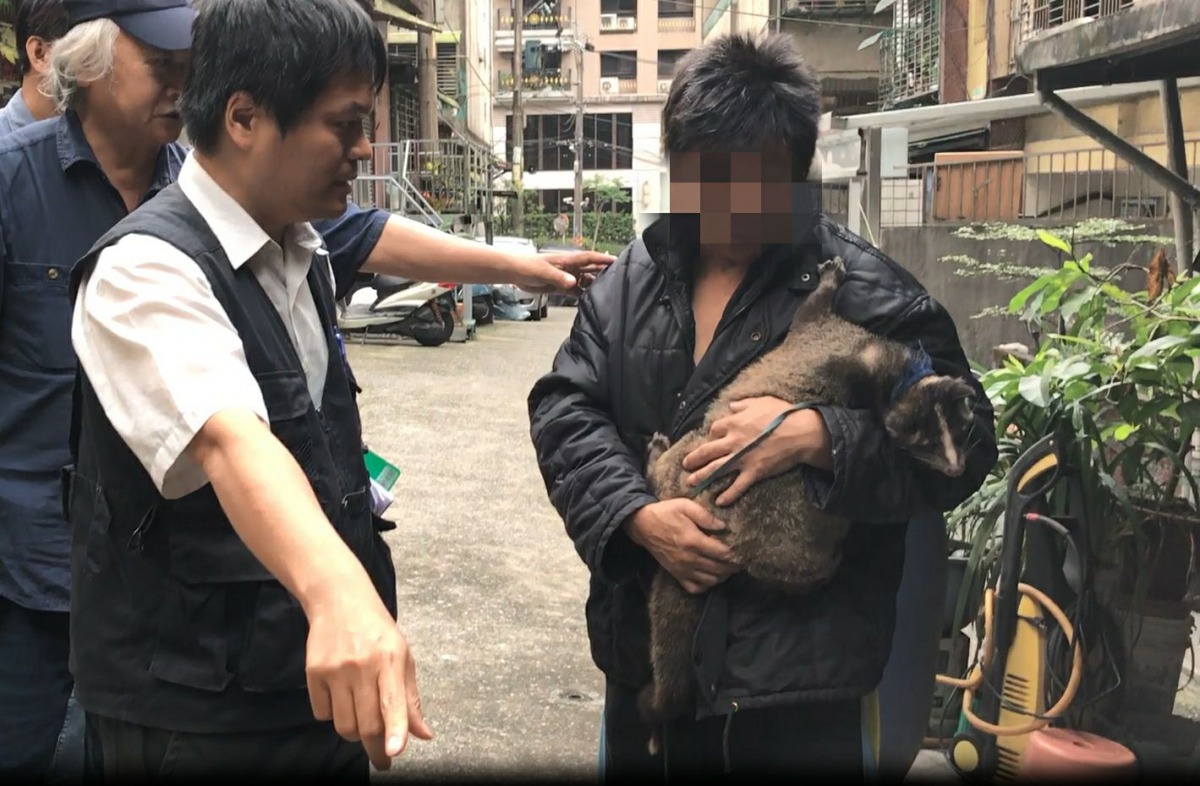 雖然胡先生聲稱不知白鼻心是保育類動物、不得持有與飼養，但這種行為已經觸法。基隆動保所/提供