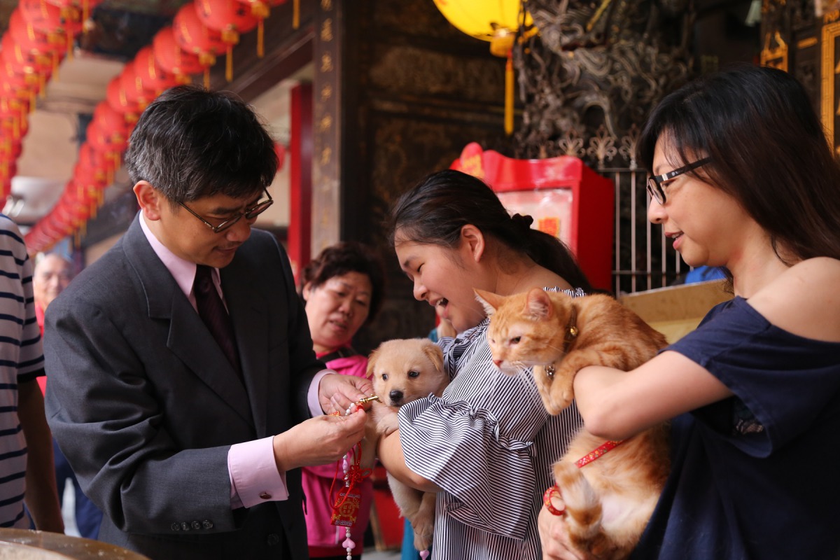 新北市動保處特地在媽祖生辰前夕，在板橋慈惠宮舉辦「GO平安符過火儀式」，圖為新北市農業局局長李玟為毛小孩掛上平安符。新北市動保處/提供