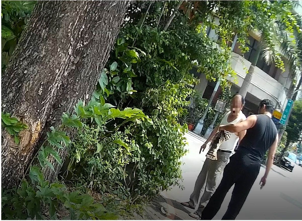 黑衣男子持BB槍射擊怎鳥類，遭法辦。截取自余先生提供之影片