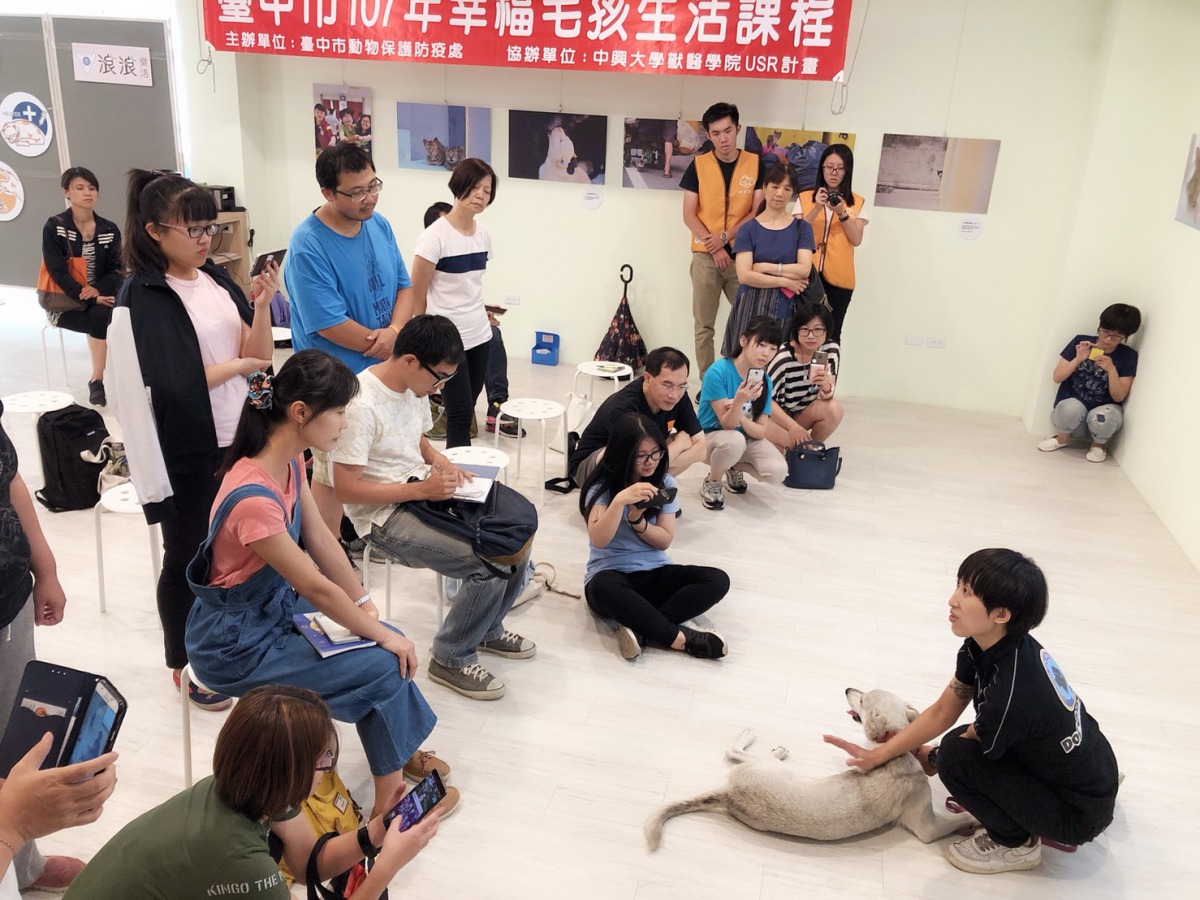 寵物復健師林佩怡為飼主示範寵物按摩。台中市動保處/提供