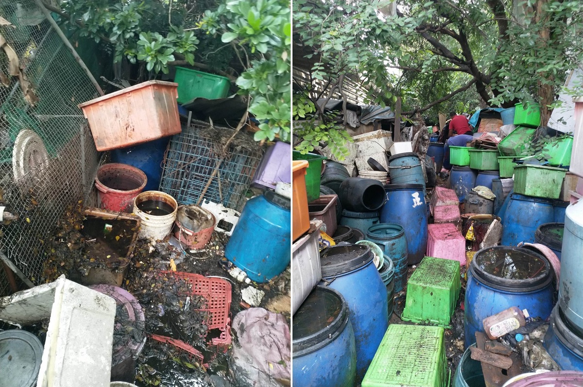 動保人士發現一起不當飼養的案例，現場環境髒亂惡臭猶如大型垃圾場。台北市動保處/提供