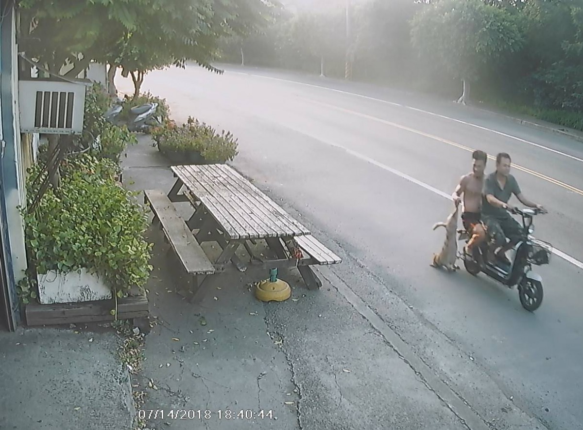 日前彰化縣有飼主家犬失蹤，經監視器畫面追查到當地化工廠的移工宿舍，但移工聲稱狗是被車撞死的，全案仍在釐清當中。彰化防疫所/提供