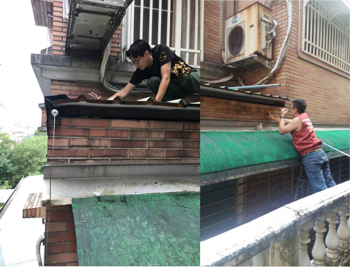 日前新北汐止區有3隻小貓疑似受困於遮雨棚,左圖為動保員爬上遮雨棚確認小貓位置,右圖為動保員以貓罐頭引誘小貓靠近。新北市動保處/提供