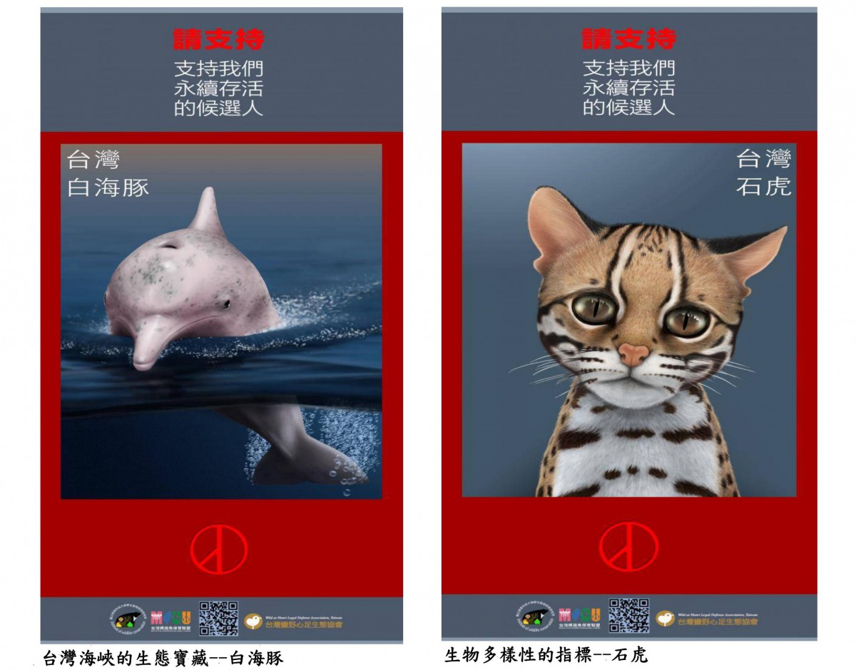 為了推動石虎與白海豚的保育,民間團體邀請石虎與白海豚所屬棲地之縣市首長、議員參選人簽署保育意願書。台灣蠻野心足生態協會/提供