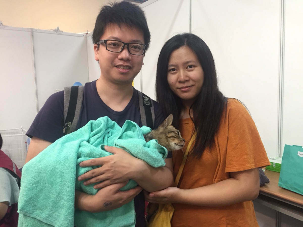 新北市動保處於「2018上聯台北國際寵物用品博覽會」設攤舉辦送養活動,已有19隻貓、4隻狗成功找到新主人。新北市動保處/提供