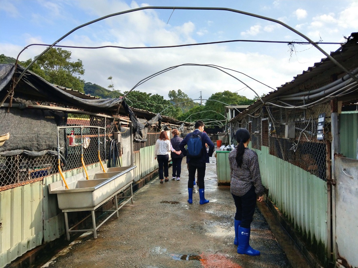 來自美、英、日的動保專家受邀來台演講與交流,並參訪中華民國保護動物協會(APA)所屬的八里保育場。陳璽安/攝