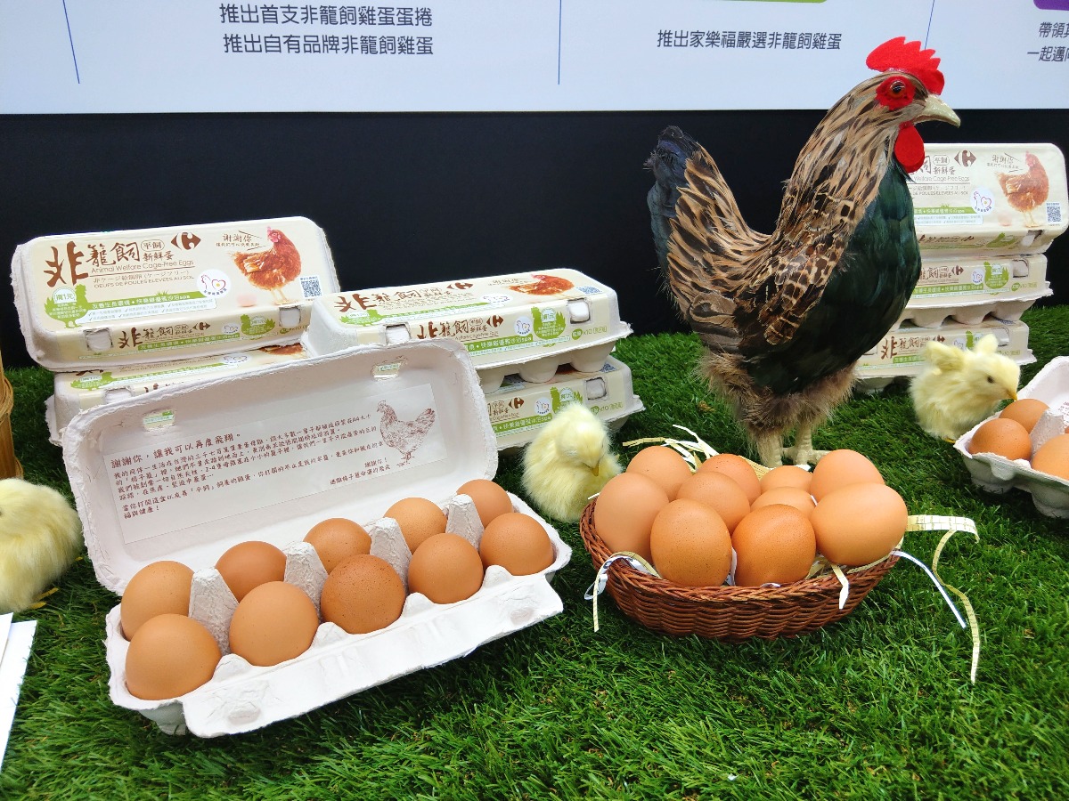 家樂福實現友善雞蛋承諾，推出自有品牌非籠飼雞蛋。陳璽安/攝
