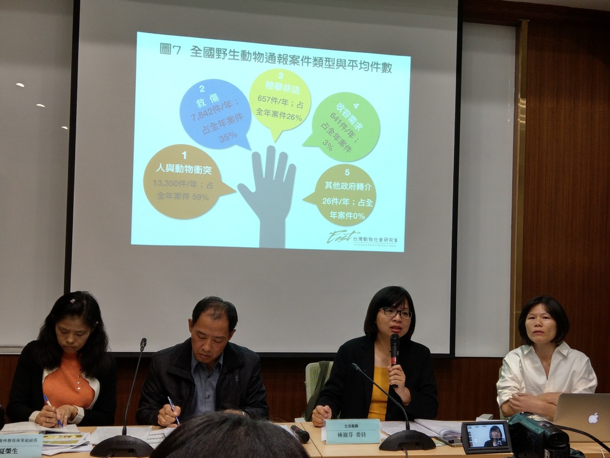 立法委員林淑芬與台灣動物社會研究會今（31）日召開「體檢野生動物通報案件系統與處置問題」記者會。陳璽安/攝