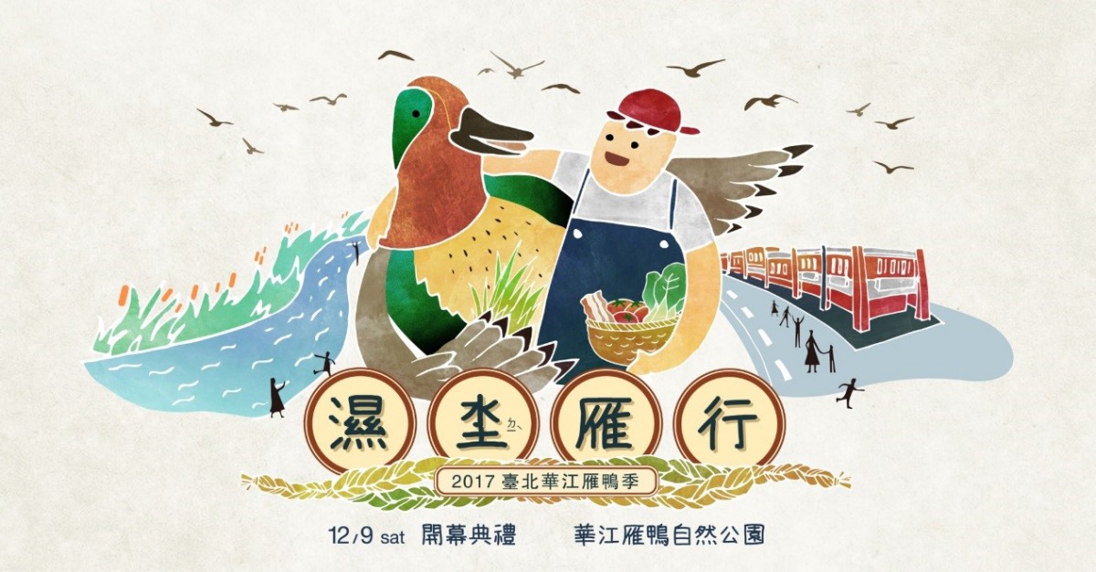 「濕坔雁行－2017臺北華江雁鴨季」將於12月9日展開。臺北市華江溼地守護聯盟/提供