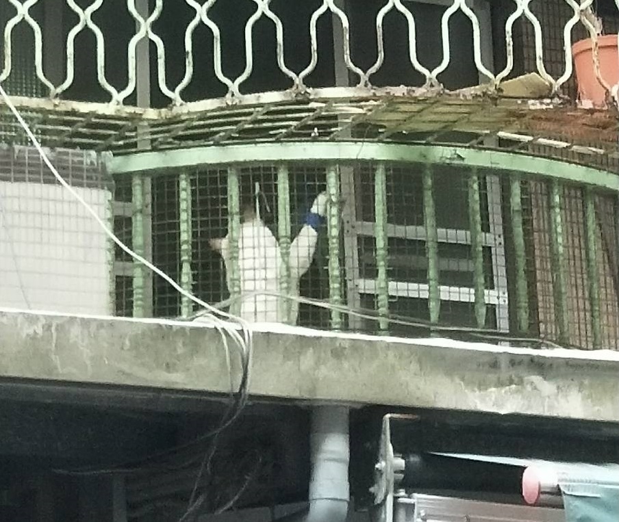 一名飼主將狗的前腳綁住，強迫犬隻站立於陽台，飼主聲稱是為了訓練犬隻後腳。台北市動保處/提供