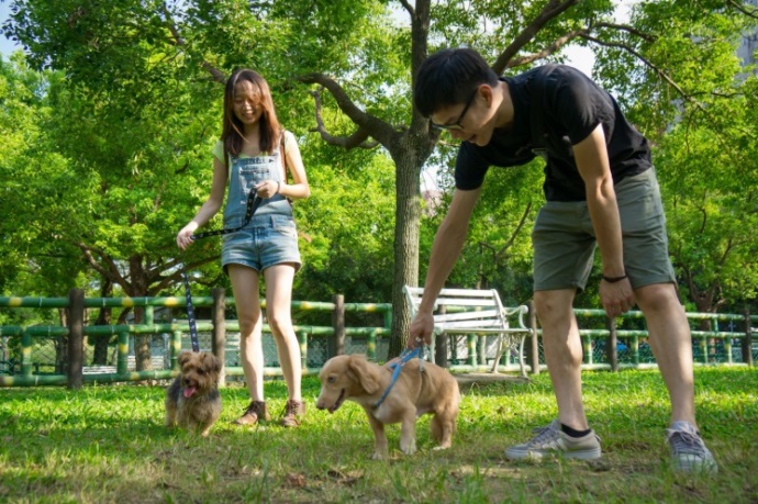 行政院農委會每年都會辦理「動物保護業務績效評鑑」以及「動物收容及管制業務評鑑」。資料照，新北市動保處/提供