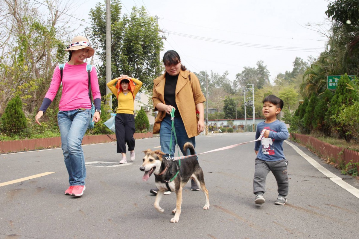 高雄市動保處推出「讓(浪)愛伴行-汪喵星球惡地探險」活動,讓自然保育與動物保護教育結合。高雄市動保處/提供