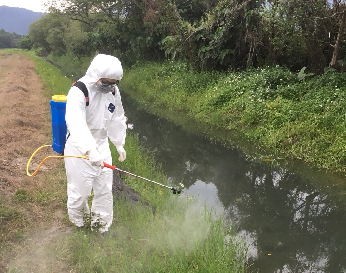 關渡自然公園漂流死雞之灌溉溝渠周圍環境清毒工作。台北市動保處/提供