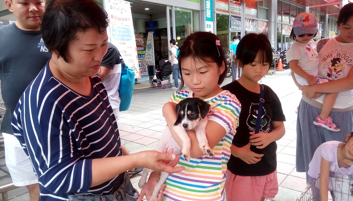 高雄市動保處與家樂福、台糖量販店等單位合作舉辦「為毛孩找一個家快樂幸福認養會」。高雄市動保處/提供