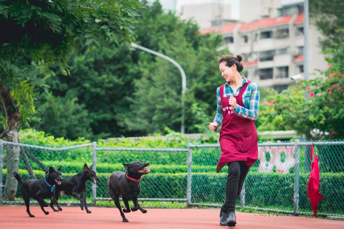 原本怕生的浪浪「小黑點」，現在已經能夠在草地上享受陽光了！圖為志工「歐柚子」，跟「左左」、「小折」與「小黑點」。新北市動保處/提供