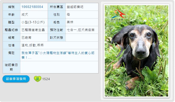 「益起認養吧」計畫讓民眾可以就近找尋看對眼的貓貓狗狗。取自台中市動保處網站