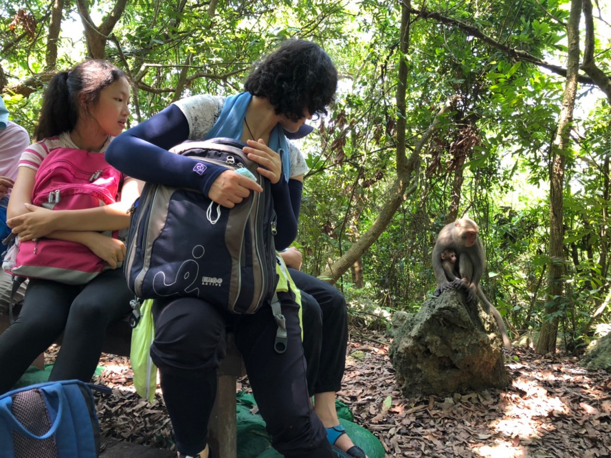 高雄市議員林于凱與台灣獼猴共存推廣協會合作舉辦了「阿凱的環境列車-猴你在一起」活動，帶領民眾親近、瞭解台灣獼猴。台灣獼猴共存推廣協會/提供