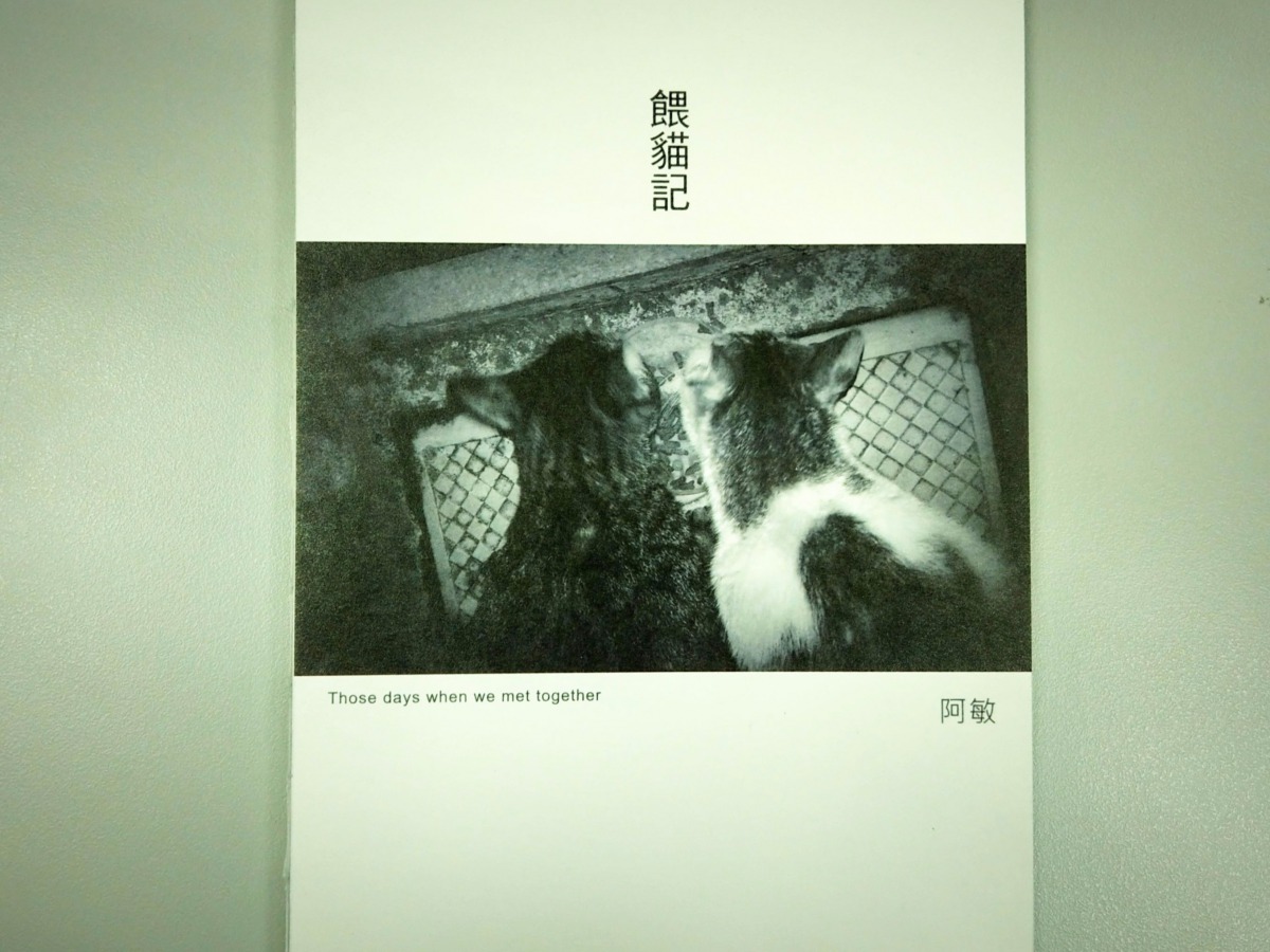 裸背的裝訂書，輕輕薄薄的，卻蘊含對貓深深的愛。陳璽安/攝