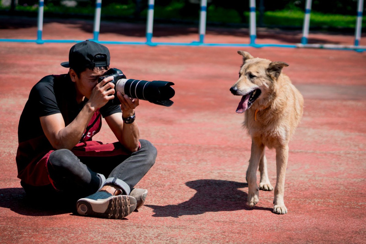 專注的哈姆隊長，拍出動物之家的毛孩們最可愛的一面。新北市動保處/提供
