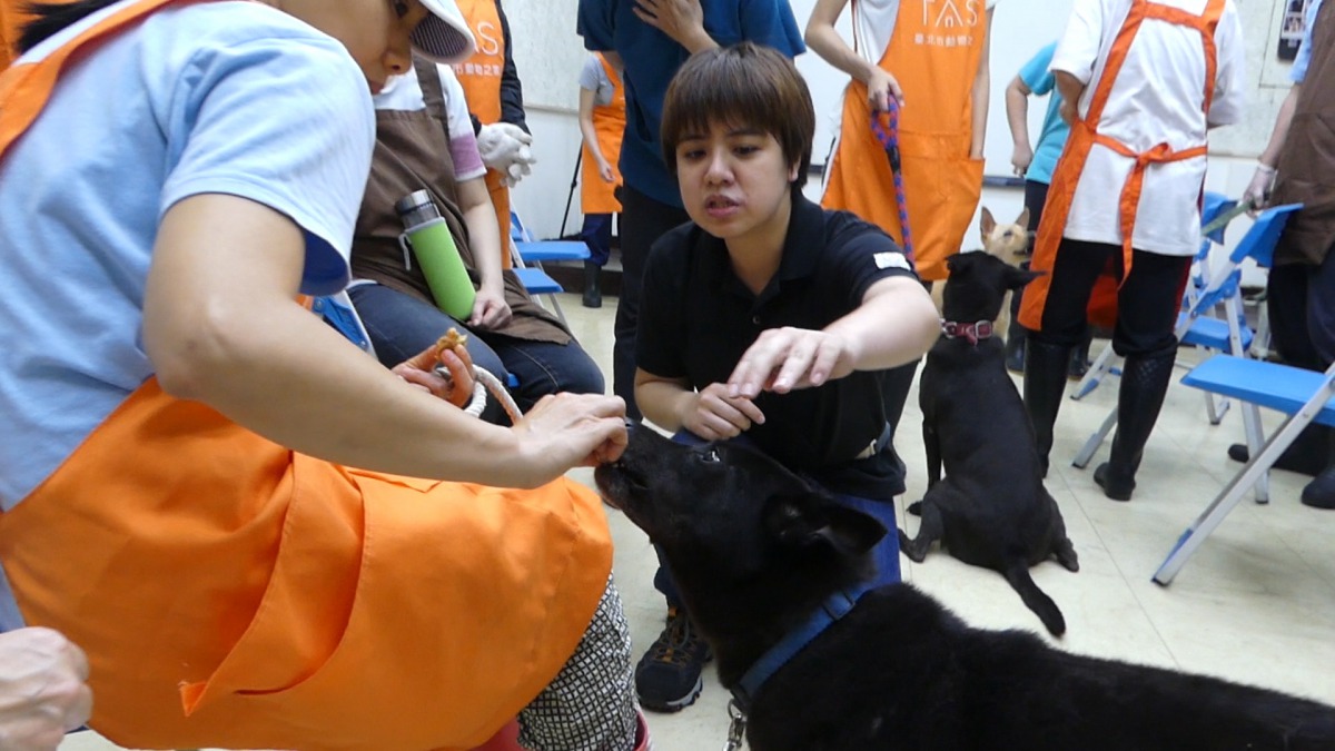 訓練師親自指導志工訓練狗狗。台北市動保處/提供