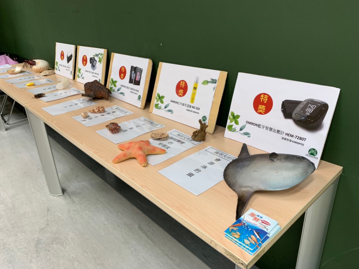 活動當天將有各式各樣的海洋生物標本與模型，歡迎來體驗指尖上的生物多樣性。台北市動保處/提供