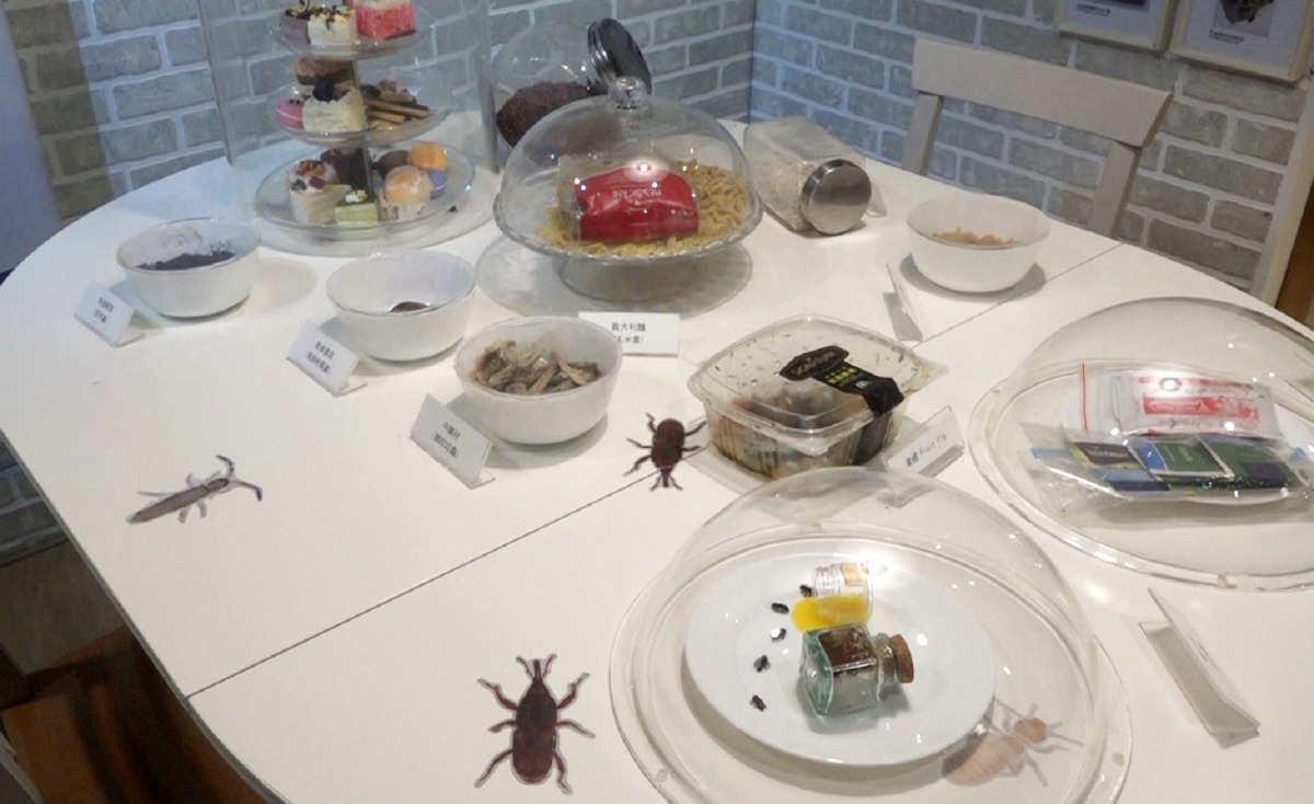 食物及垃圾未立即包裝密封,轉眼就成了蟲蟲最佳的自助吧。台北市立動物園/提供