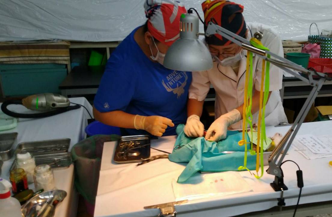 高雄市動保處利用暑假期間，密集前往偏鄉區域進行「寵物登記、絕育、狂犬病防疫三合一宣導活動」。高雄市動保處/提供