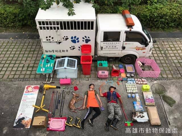 高雄市動保處以收容所的開箱照讓大家看見一手鏟屎、一手餵奶的動保員日常。高雄市動保處/提供