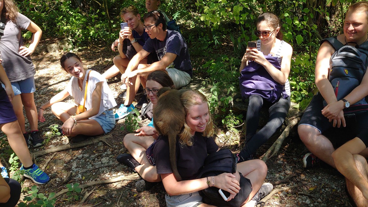 高雄市環保局等單位於鼓山舉辦友善獼猴生態的「導覽解說員」招募說明會,期待將生態導覽活動結合社區發展。資料照,台灣獼猴共存推廣協會/提供