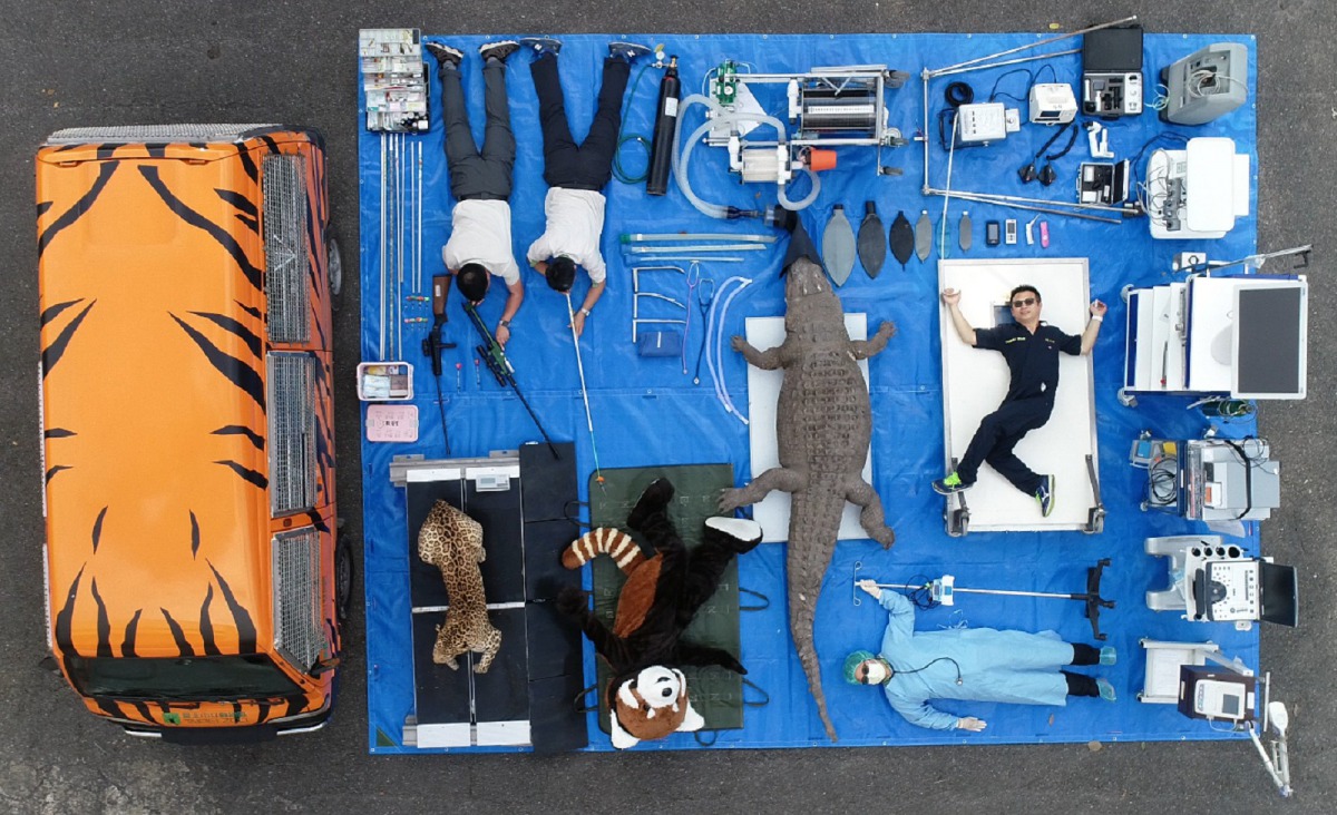 台北市立動物園的「小虎車」上滿載琳瑯滿目的醫療器材,讓動物園獸醫師能夠即時「外出」看診。台北市立動物園/提供