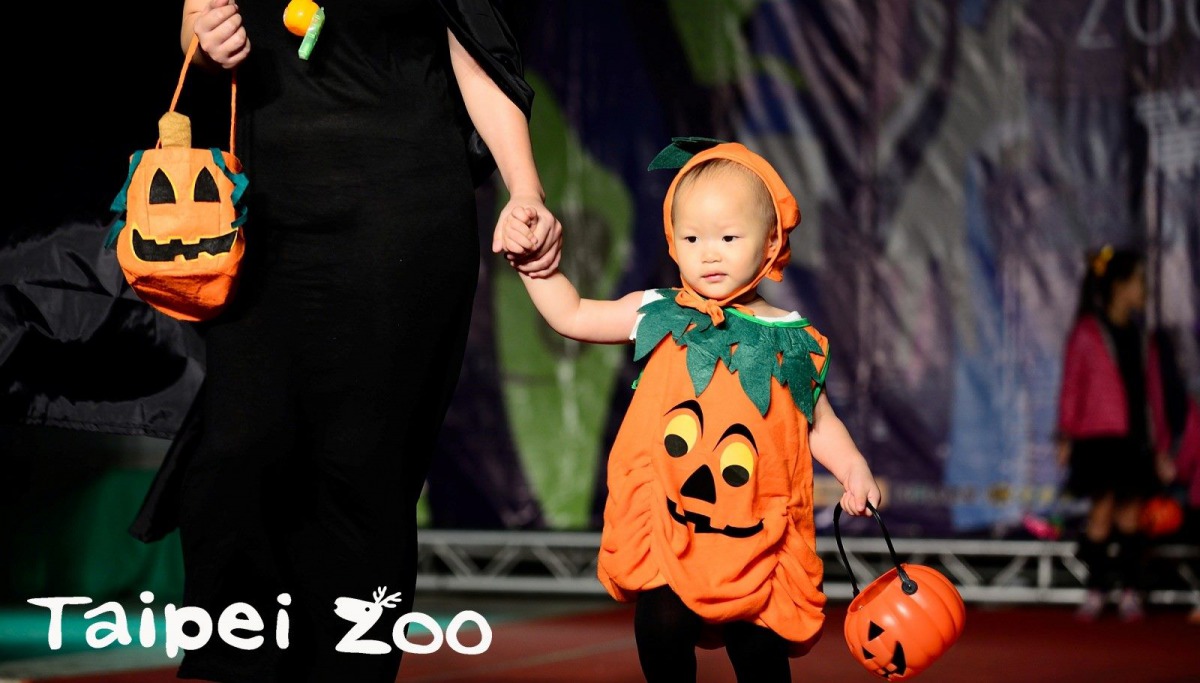 台北市立動物園的萬聖節活動已上場！台北市立動物園/提供