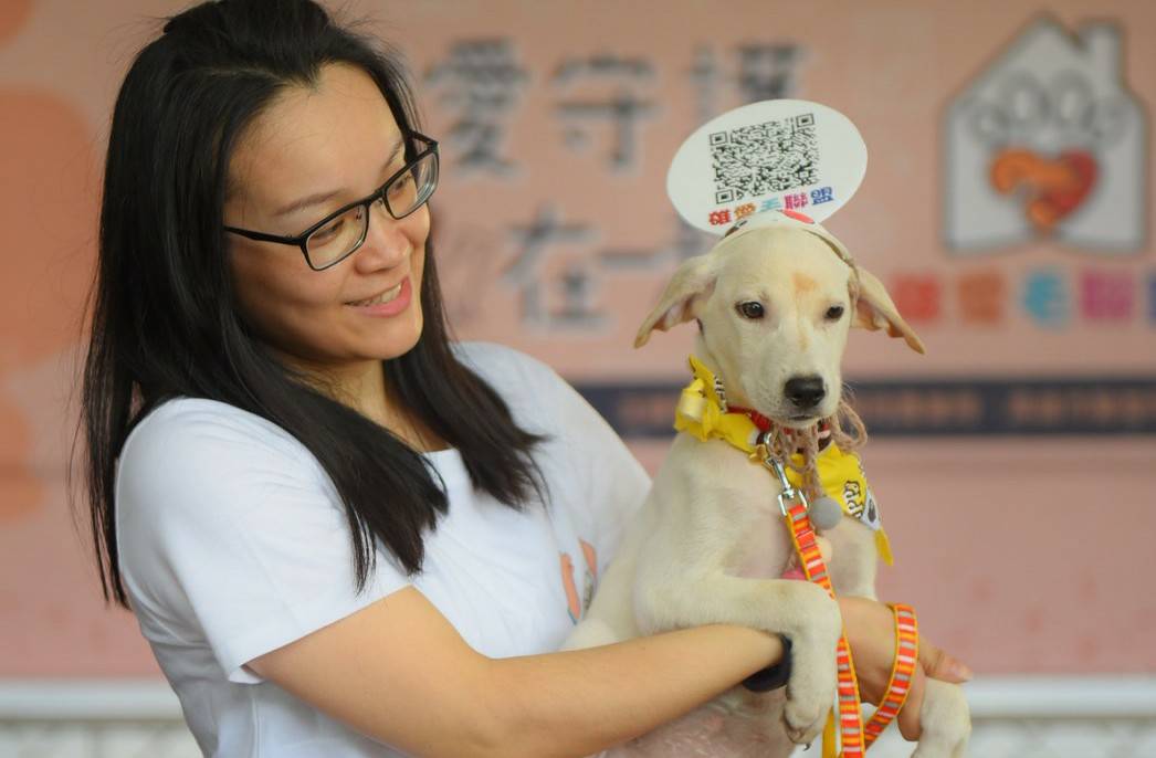 高雄市動保處集合轄內相關團體組成「雄愛毛聯盟」,並推動「高雄市民間狗園輔導培力計畫」。圖為「雄愛毛聯盟」成立現場照片,高雄市動保處/提供