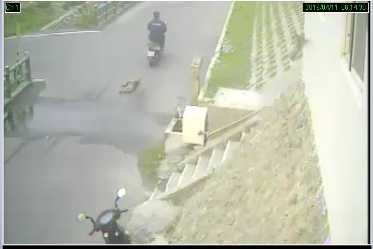 台中市一名楊姓飼主以機車拖行犬隻導致犬隻重傷致死，法院判決處罰有期徒刑三個月，併科罰金20萬元。台中市動保處/提供