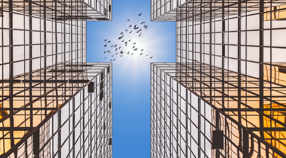 紐約市每年有23萬隻鳥因撞擊建築物而死，因此紐約市議會通過新法規定新建的建築物應採友善鳥類措施。示意圖，取自Pixabay