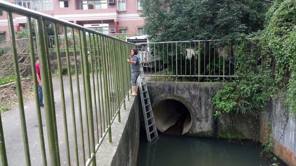 動保員進入大排水溝救援受困貓隻。新北市動保處/提供