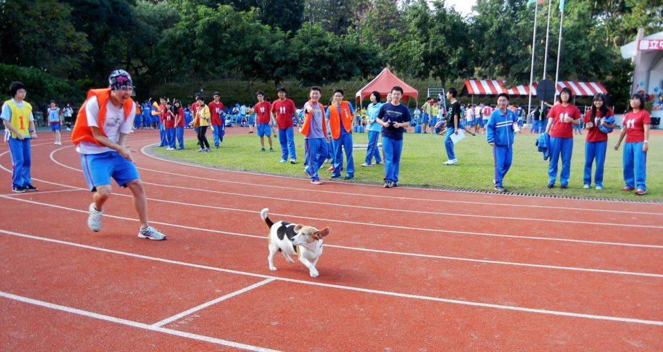 大小姐陪伴中和高中的學生走過將近12年,帶給師生許多美好的回憶。新北市動保處/提供