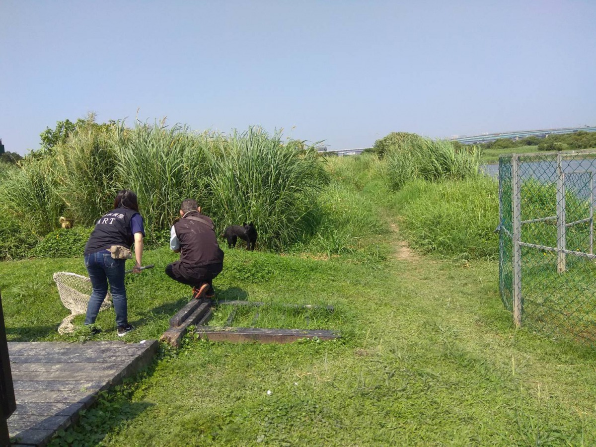 陳孋輝議員辦公室召開協調會,邀請台北市動保處、台北市野鳥學會及動保團體共同協商當地浪犬的管理方向。圖為台北市動保處專案小組出勤照片。資料照,台北市動保處/提供