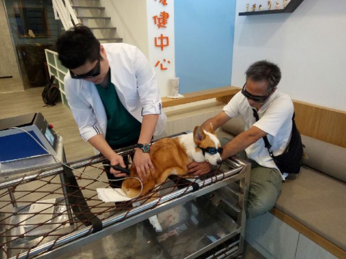 新北市發布「新北市動物長期照護服務機構認證及輔導暫行辦法」，推廣寵物長照服務政策目標。新北市動保處/提供