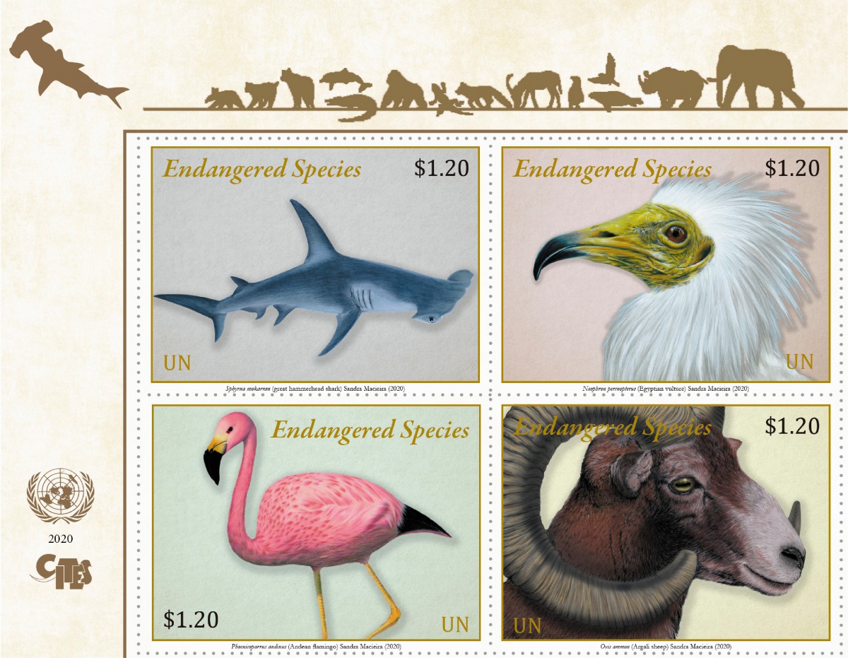 UNPA首次同時與CITES、CMS合作，發行瀕危物種郵票系列。翻攝自UNPA網站