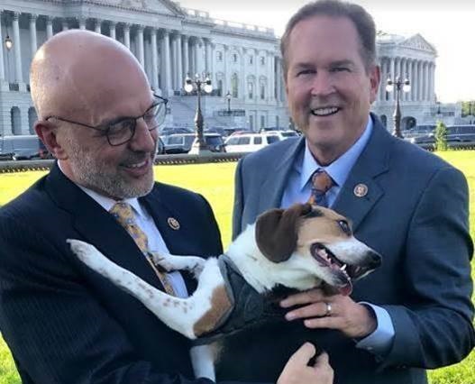 美國眾議院通過《防止動物殘酷和酷刑法》,將虐待動物列為聯邦重罪,圖為發起人美國眾議員Ted Deutch和Vern Buchanan。翻攝自Vern Buchanan推特
