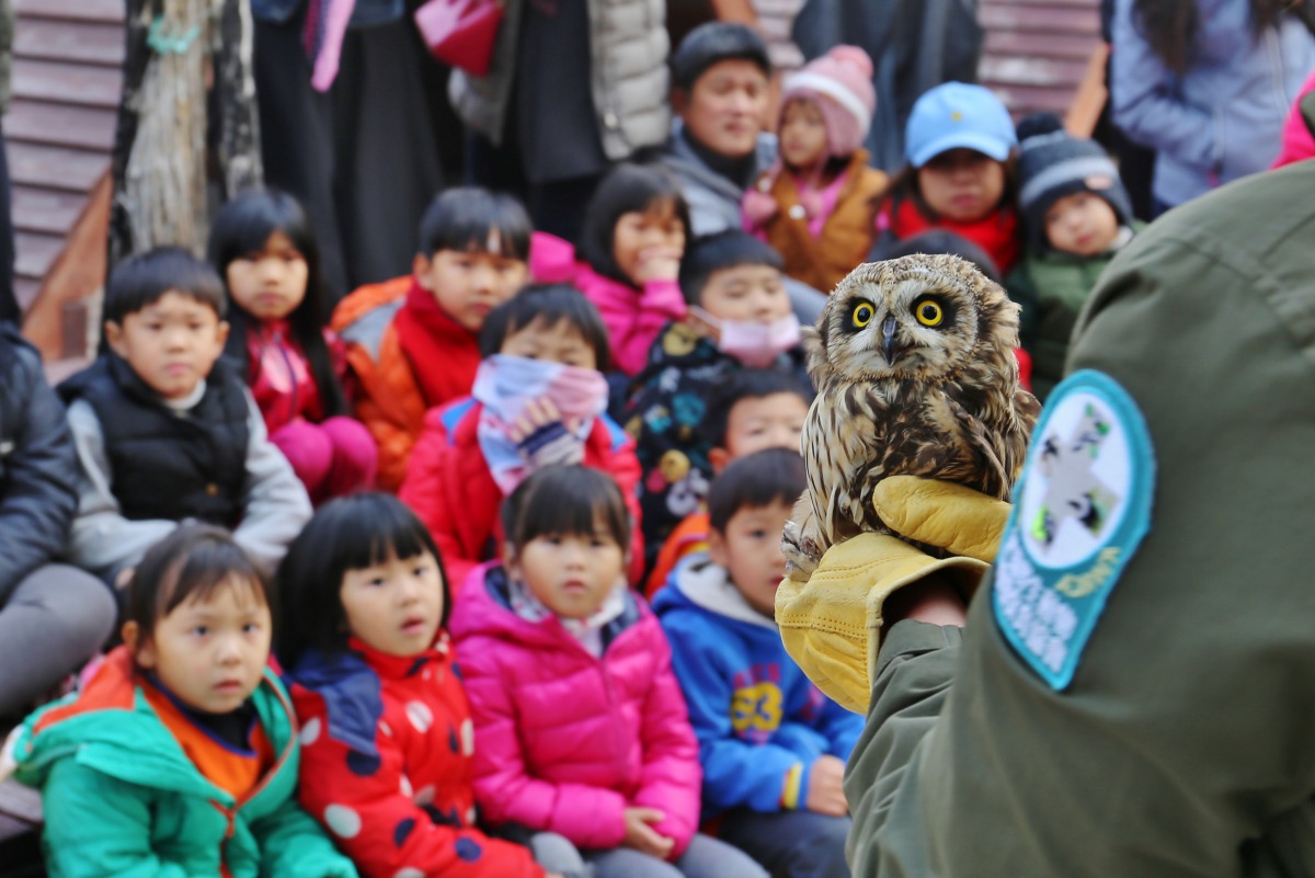 藉由這場難能可貴的戶外教學，短耳鴞的親身故事成為生命教育課教材，教導學童們愛護環境的重要性。金門縣建設處/提供