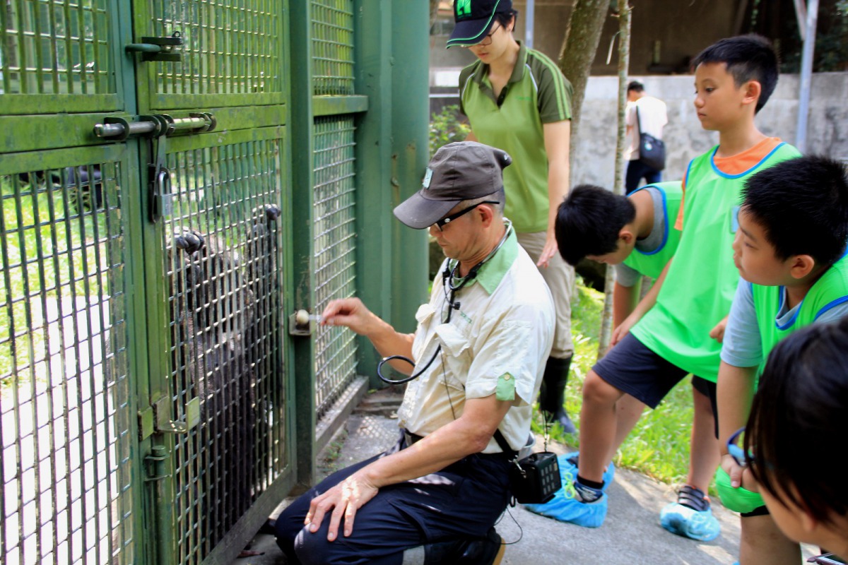 保育員要如何請黑猩猩乖乖張開嘴巴檢查牙齒？答案就在「動物保育員體驗營」。台北市立動物園/提供